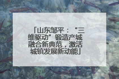 山东邹平：“三维驱动”锻造产城融合新典范，激活城镇发展新动能
