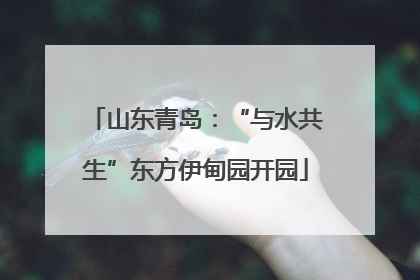 山东青岛：“与水共生”东方伊甸园开园