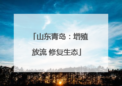 山东青岛：增殖放流 修复生态