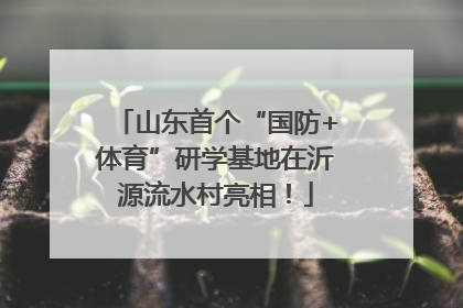 山东首个“国防+体育”研学基地在沂源流水村亮相！