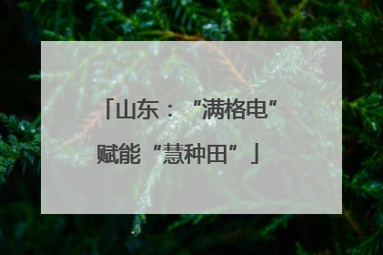 山东：“满格电”赋能“慧种田”