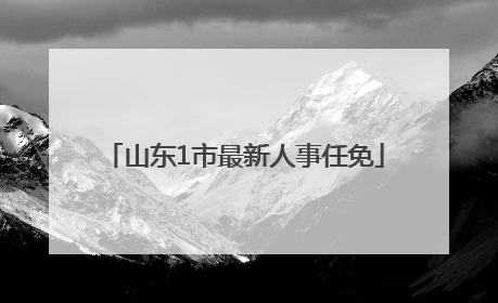山东1市最新人事任免