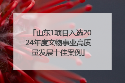 山东1项目入选2024年度文物事业高质量发展十佳案例