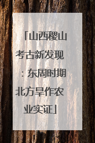 山西稷山考古新发现：东周时期北方旱作农业实证