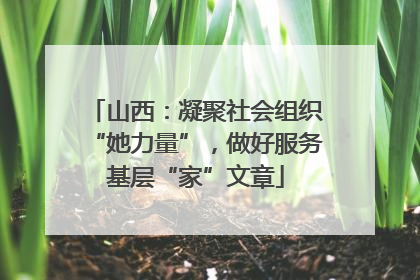 山西：凝聚社会组织“她力量”，做好服务基层“家”文章