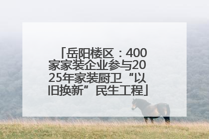 岳阳楼区：400家家装企业参与2025年家装厨卫“以旧换新”民生工程