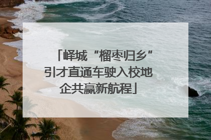 峄城“榴枣归乡”引才直通车驶入校地企共赢新航程