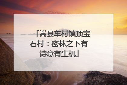 嵩县车村镇顶宝石村：密林之下有诗意有生机