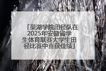 巢湖学院田径队在2025年安徽省学生体育联赛大学生田径比赛中喜获佳绩