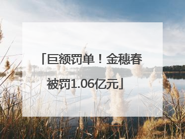 巨额罚单！金穗春被罚1.06亿元