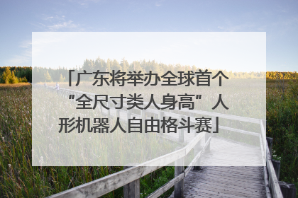 广东将举办全球首个“全尺寸类人身高”人形机器人自由格斗赛