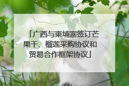 广西与柬埔寨签订芒果干、榴莲采购协议和贸易合作框架协议