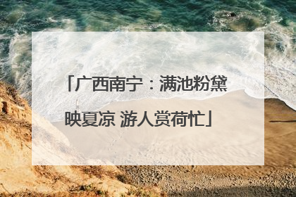 广西南宁：满池粉黛映夏凉 游人赏荷忙
