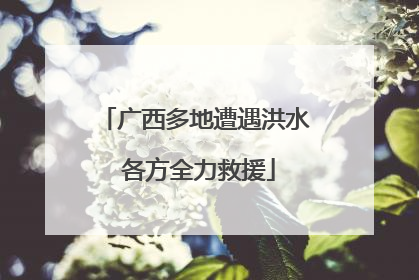 广西多地遭遇洪水 各方全力救援