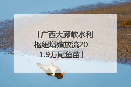 广西大藤峡水利枢纽增殖放流201.9万尾鱼苗