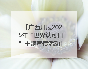 广西开展2025年“世界认可日”主题宣传活动