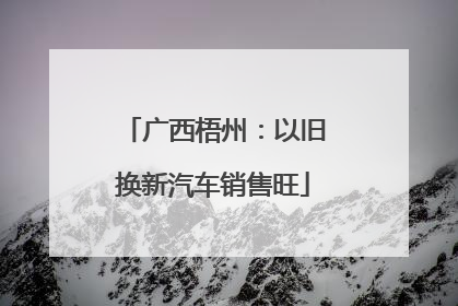 广西梧州：以旧换新汽车销售旺