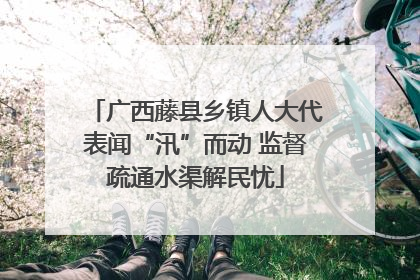 广西藤县乡镇人大代表闻“汛”而动 监督疏通水渠解民忧
