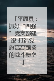 平原县：抓好“四强”党支部建设 打造党旗高高飘扬的战斗堡垒