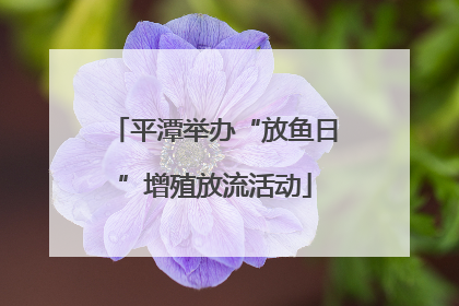 平潭举办“放鱼日”增殖放流活动