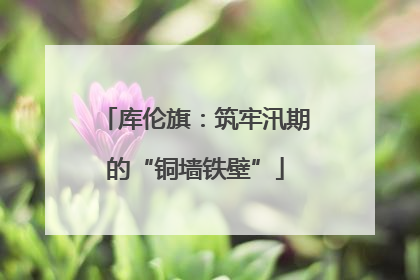 库伦旗：筑牢汛期的“铜墙铁壁”