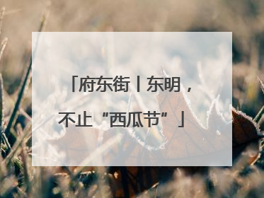 府东街丨东明，不止“西瓜节”
