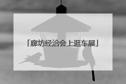 廊坊经洽会上逛车展