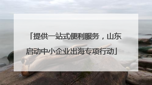提供一站式便利服务，山东启动中小企业出海专项行动