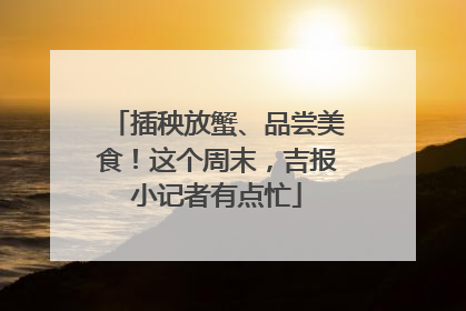 插秧放蟹、品尝美食！这个周末，吉报小记者有点忙