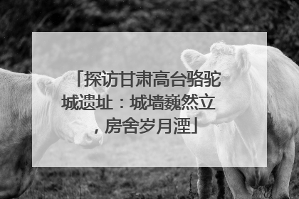 探访甘肃高台骆驼城遗址：城墙巍然立，房舍岁月湮