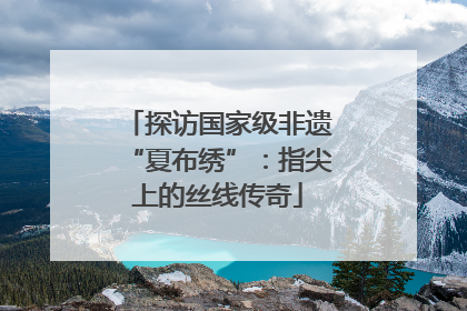 探访国家级非遗“夏布绣”：指尖上的丝线传奇
