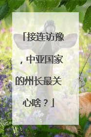 接连访豫，中亚国家的州长最关心啥？