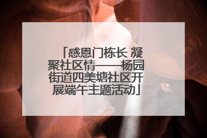 感恩门栋长 凝聚社区情——杨园街道四美塘社区开展端午主题活动