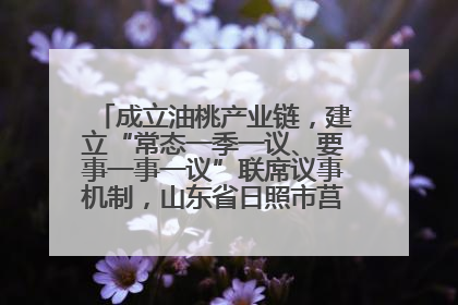 成立油桃产业链，建立“常态一季一议、要事一事一议”联席议事机制，山东省日照市莒县果庄镇——13个党小组“全周期”育果