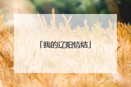 我的辽阳情结
