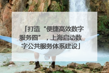 打造“便捷高效数字服务圈”，上海启动数字公共服务体系建设