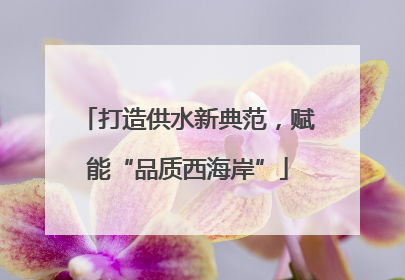打造供水新典范，赋能“品质西海岸”