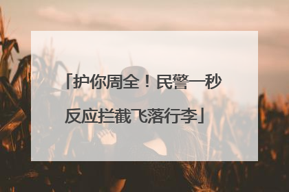护你周全！民警一秒反应拦截飞落行李