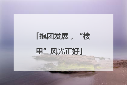 抱团发展，“楼里”风光正好