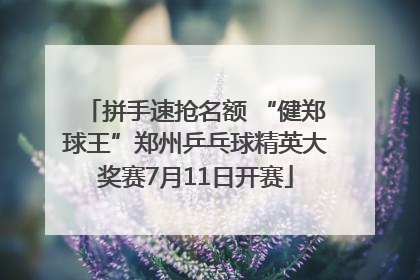 拼手速抢名额 “健郑球王”郑州乒乓球精英大奖赛7月11日开赛