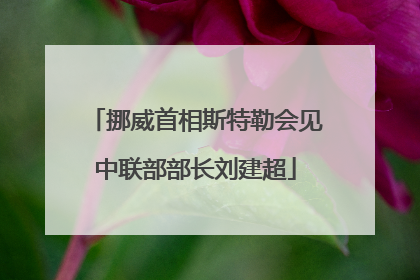 挪威首相斯特勒会见中联部部长刘建超