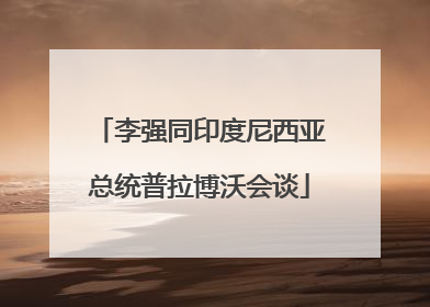 李强同印度尼西亚总统普拉博沃会谈