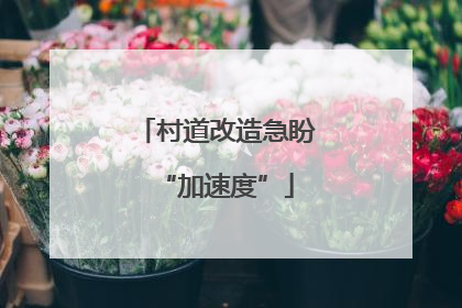 村道改造急盼“加速度”