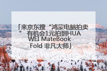 来京东搜“鸿蒙电脑拍卖” 有机会1元拍到HUAWEI MateBook Fold 非凡大师