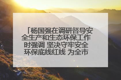 杨国强在调研督导安全生产和生态环保工作时强调 坚决守牢安全环保底线红线 为全市经济社会高质量发展提供坚强保障