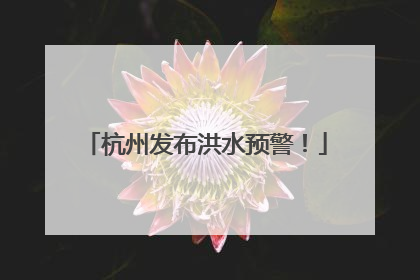 杭州发布洪水预警！