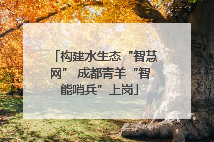 构建水生态“智慧网” 成都青羊“智能哨兵”上岗