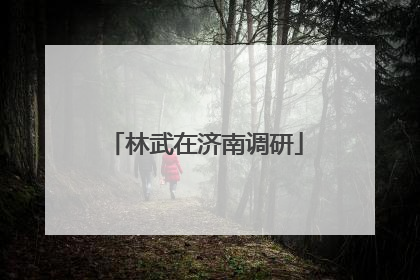 林武在济南调研