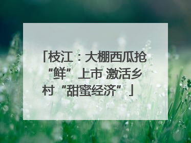 枝江：大棚西瓜抢“鲜”上市 激活乡村“甜蜜经济”