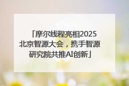摩尔线程亮相2025北京智源大会，携手智源研究院共推AI创新
